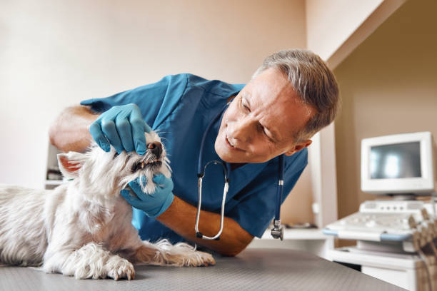 Best Emergency Dentist for Special Needs Patients in Pagedale, MO